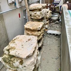 レアもの!!　琉球石灰岩　柱