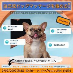 自己流ドッグマッサージを極める！ in 石巻　2/27開催