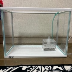 GEX小型水槽セット