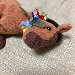 小学校高学年用の乗馬防具等