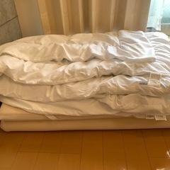 トゥルースリーパー　セット