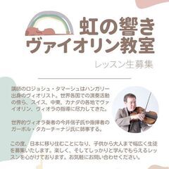 VIOLIN - VIOLA LESSON