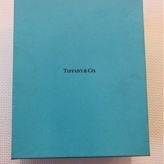 TIFFANY &Co. ティファニー　シャンパングラス
