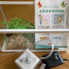 水槽セット