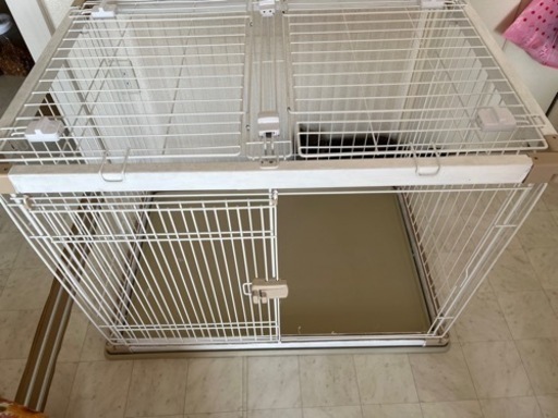 犬小屋
