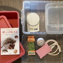 ハリネズミ　小動物　飼育グッズ