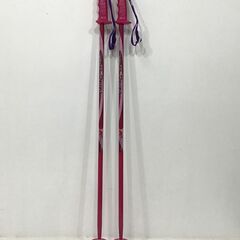22R036 KIZAKI キザキ ジュニア用 スキーストック ...