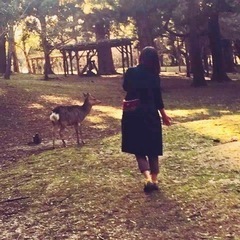 中国語の歌を覚えよう！の画像