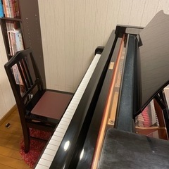 ✨⭐️横須賀市池田町　Music park    dolce音楽教室⭐️✨の画像