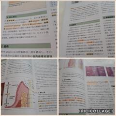 ザペリオドントロジ－第2版　本　テキスト　教科書　歯学部　歯科医師　永末書店の画像