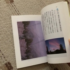3D写真で目が良くなる本の画像