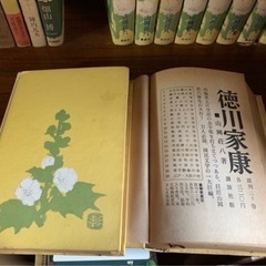 徳川家康　講談社　国民文学の一大巨編　古本の画像