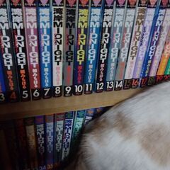 湾岸ミッドナイト全42巻