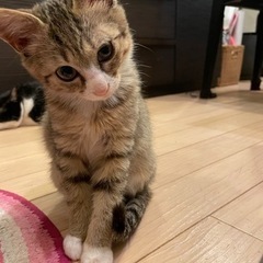 😊マルちゃん　トライアルに出発〜