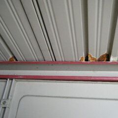 ヨド物置アゼクラ　小の画像