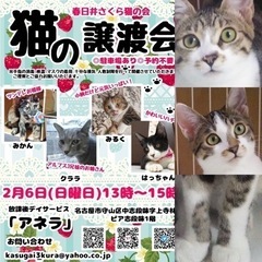 超可愛い姉妹　アイラインバッチリよ