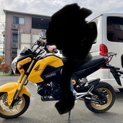 グロム　JC61 前期　埼玉　川越の画像