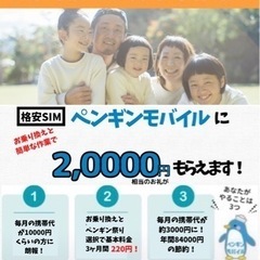 ONE PIECE101巻 極美品の画像