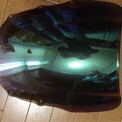 ZZR400 イリジウムバルブスクリーン
