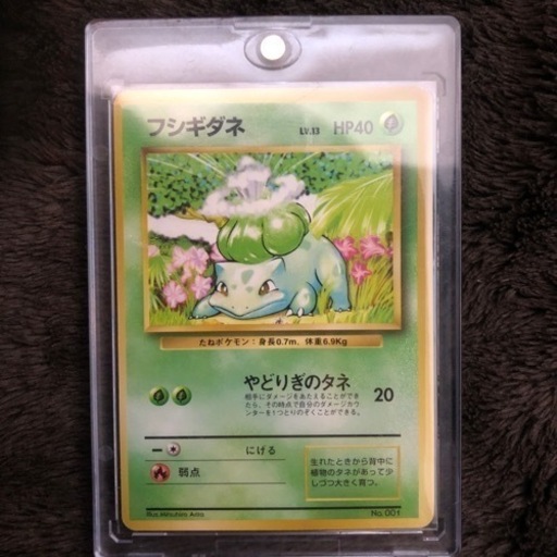 フシギダネ　旧裏　初版