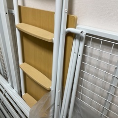 ロフトベットです！！！！