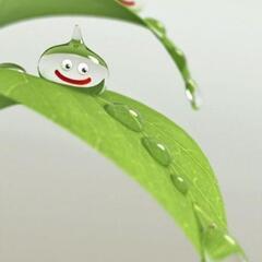 雑談•́ε•̀雑談✧︎通話グル〔全国〕