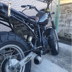 tw200