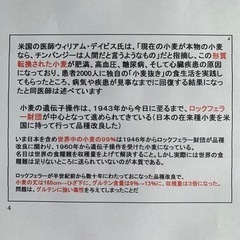 現在世界中に流通している遺伝子操作された危険な小麦99%