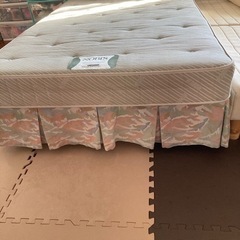 セミダブルベットの画像