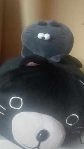 ねこのぬいぐるみ
