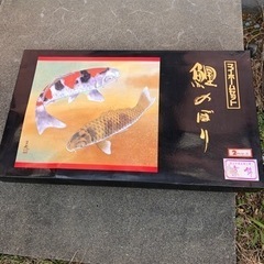 鯉のぼりセット