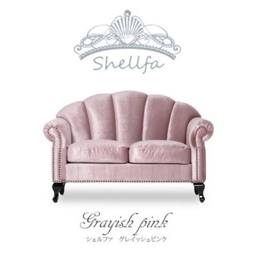 シェルファ　現物