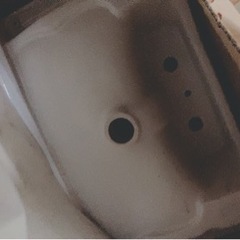 nitto 洗面台 綺麗の画像