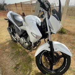 GSRー250  インジェクション　絶好調　美車　値引き可能❗️の画像