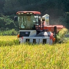 米専門農家　原農園の画像