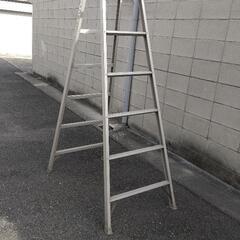 脚立  取りに来て下さい。さしあげます。