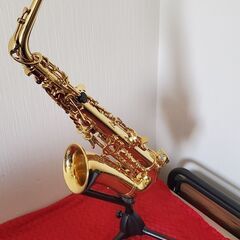 Eastar Sax Alto Saxophone Gold Lacquer Soccer Phone with Case Care Set for Saxophone Beginner AS-IIの画像