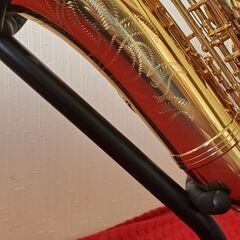 Eastar Sax Alto Saxophone Gold Lacquer Soccer Phone with Case Care Set for Saxophone Beginner AS-IIの画像