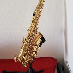 Eastar Sax Alto Saxophone Gold Lacquer Soccer Phone with Case Care Set for Saxophone Beginner AS-IIの画像