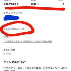 水上高原藤原スキー場入浴付リフト券2枚