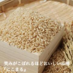 新米🌾玄米30kg🌾京都府産『にこまる』 引取り限定!!令和5年...