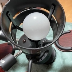 シーリングファン　照明　LED付き　中古美品の画像