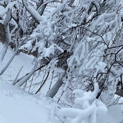 スノボー仲間募集中❗️