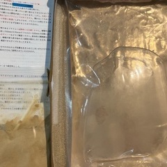 ゾウリムシ＋エビオス10錠