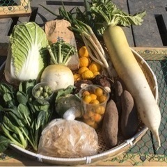 1/29、30(土日)のお野菜と新米セット