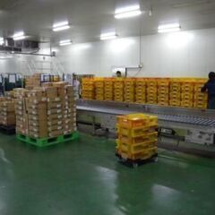 *派遣* 日払いあり、冷蔵・冷凍倉庫内での格納・ピッキング