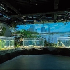 一緒に水族館行きましょう🐟🐠🐡