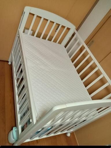 引取先きまりました。