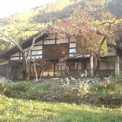 次の水曜日にやぶはらスキー場で一緒に滑ってくださる方、いらっしゃ...