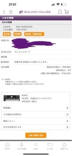 KORG pa300